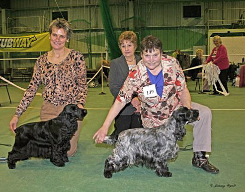 Bitch CC and Bitch Reserve CC - February 2011 Championship Show
