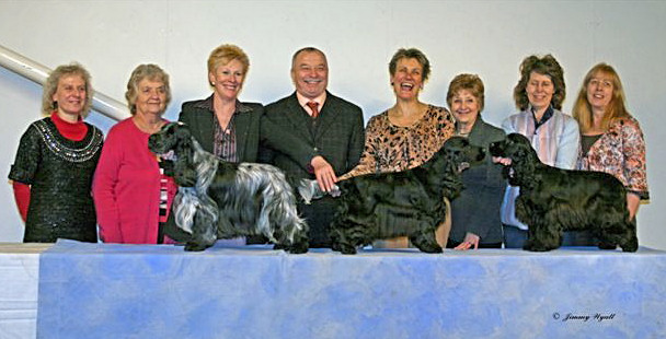 Championship Show 2011 BIS Line Up