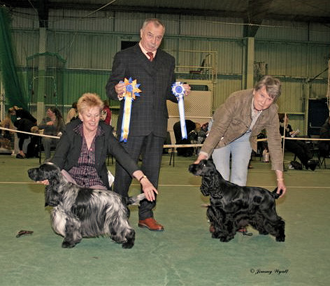 Dog CC and Dog Reserve CC - February 2011 Championship Show