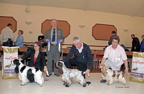 BIS, RBIS & BOS Open Show November 2011