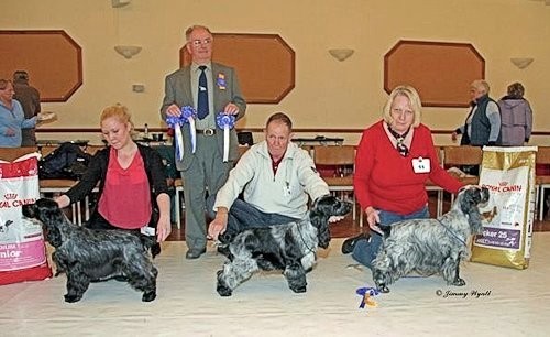 BPIS, RBPIS & BVIS Open Show November 2011