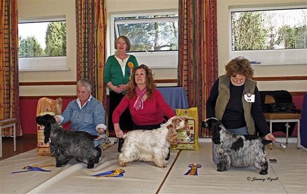 BIS, RBIS & BOS Open Show February 2012