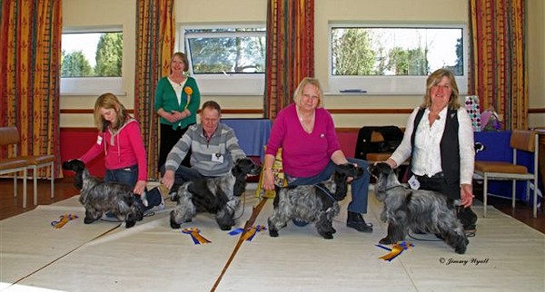 BPIS, RBPIS, BMPIS & BVIS Open Show February 2012