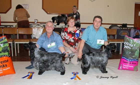 Best In Show November 2012