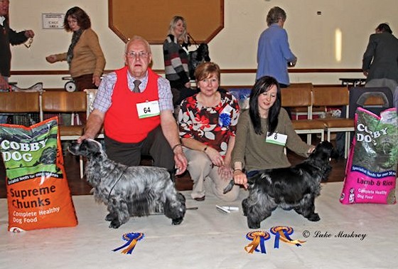 BVIS and BPIS November 2012