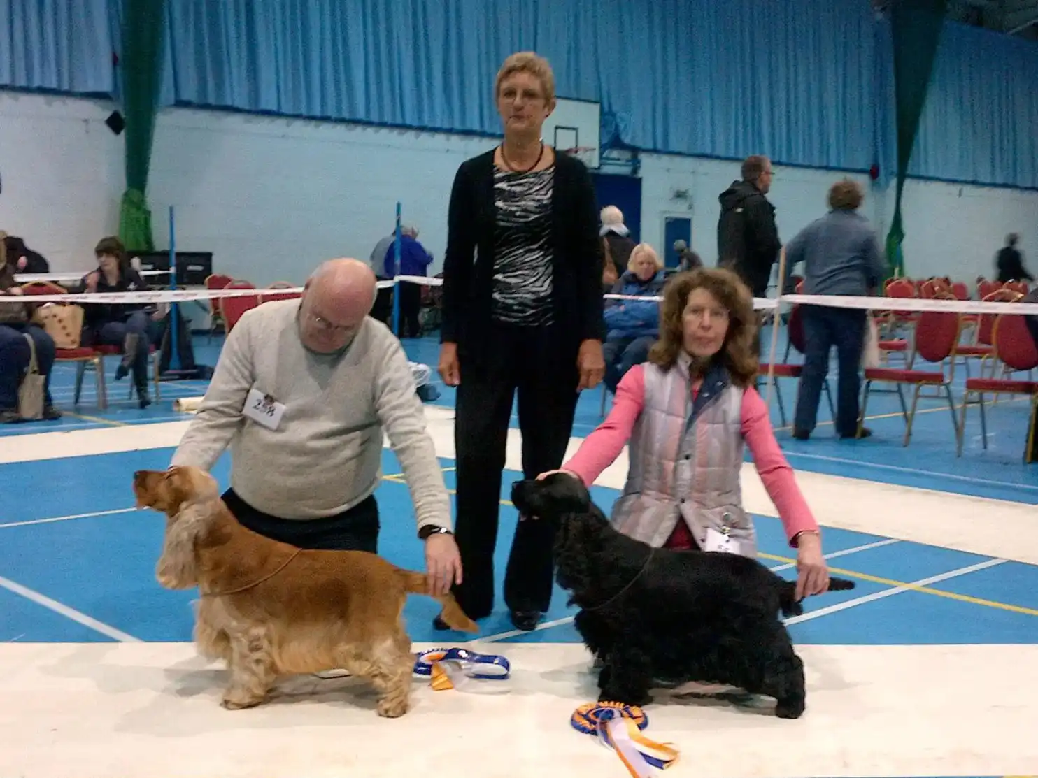 Reserve Dog CC and Dog CC - February 2013 Championship Show