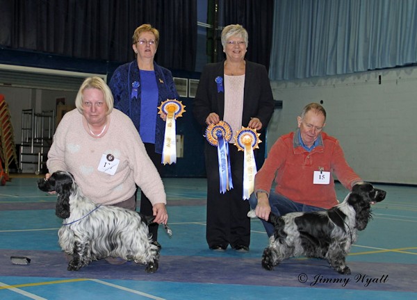 BIS & B0S February 2015