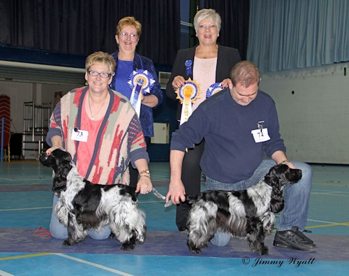 BPD & BPB February 2015