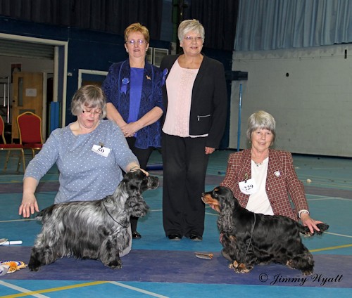 BVD & BVB February 2015