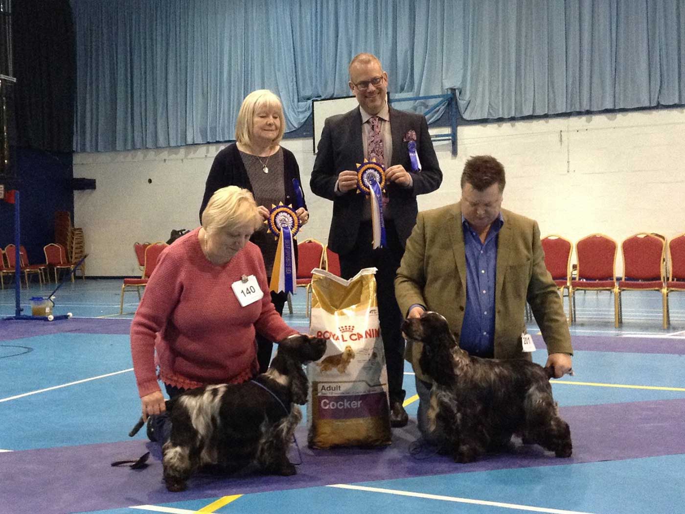 BOS & BIS February 2017