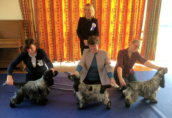 Special Awards November 2018