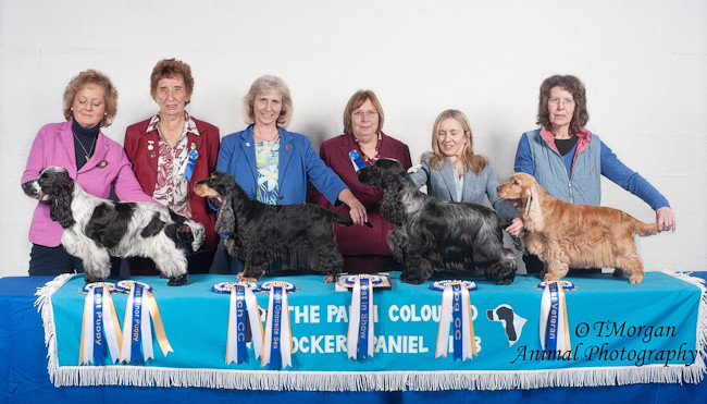 Winners line-up February 2019