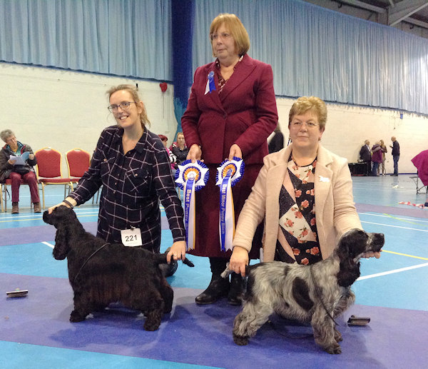 BPIS, RPD February 2019