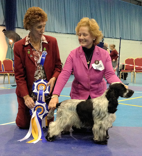 BPIS, RPD February 2019