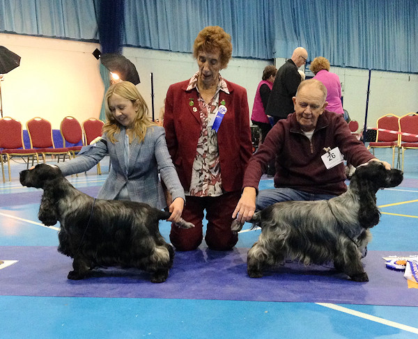 Dog CC & Dog Res CC February 2019