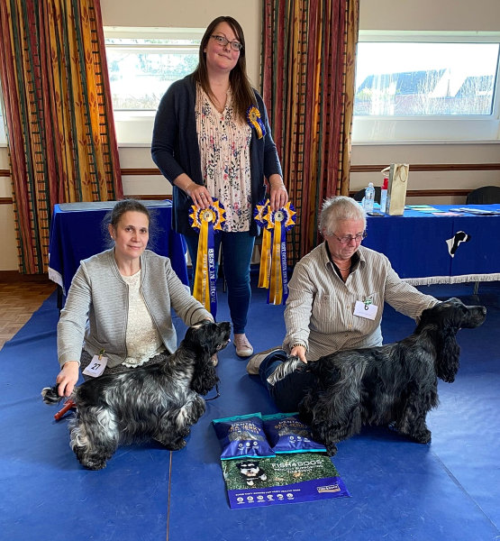 BIS Open Show Feb 2022