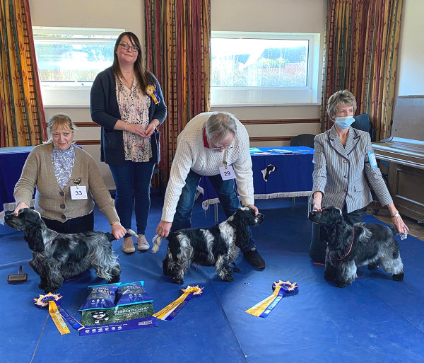 BPIS Open Show Feb 2022