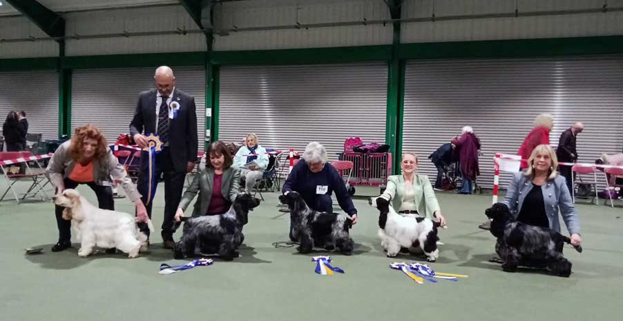 Dog winners - February 2025 Championship Show