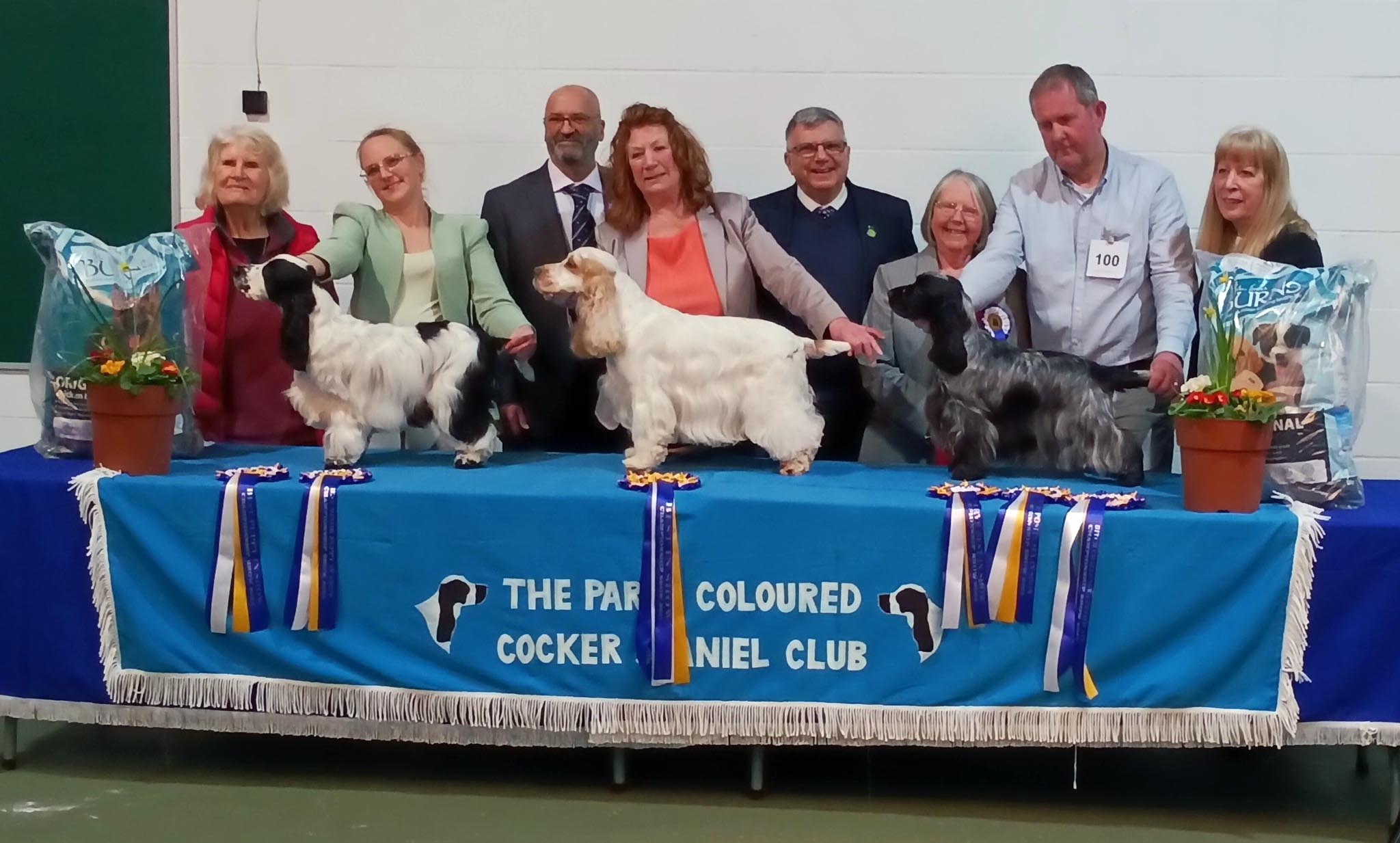 Main winners - February 2025 Championship Show