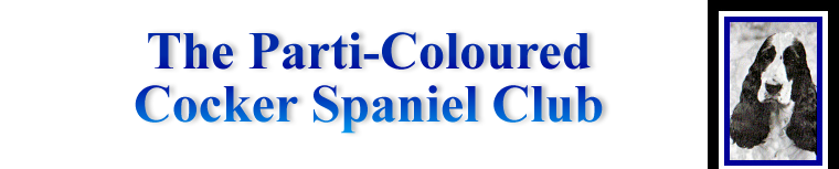 Parti-Coloured Cocker Spaniel Club